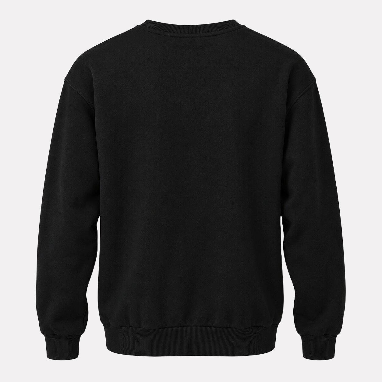 Sweatshirt Crewneck Big Logo
