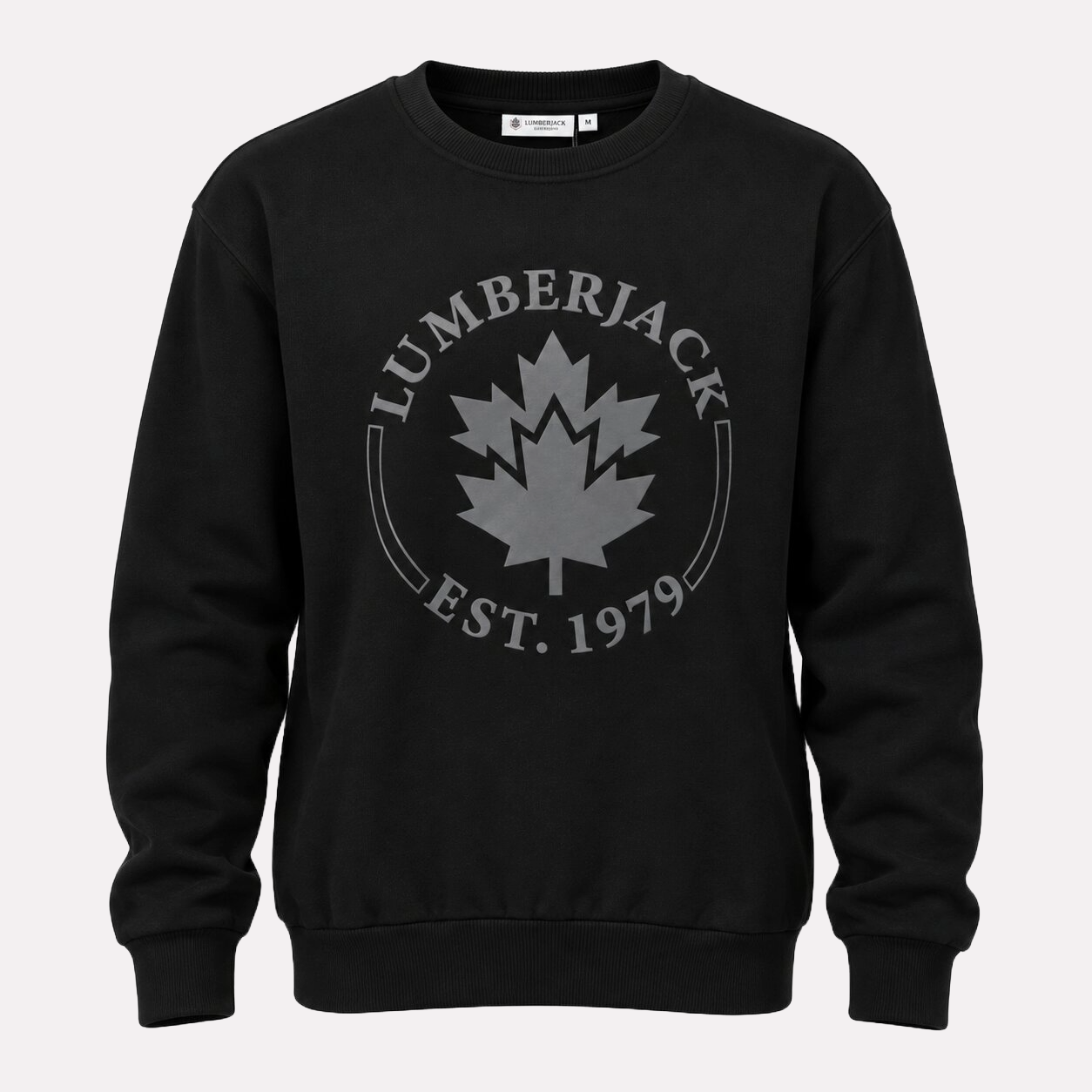 Sweatshirt Crewneck Big Logo